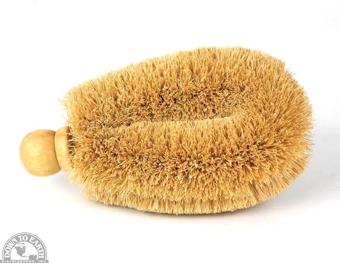 Down To Earth - Large Coir 6" Veggie Brush With Wood Knob