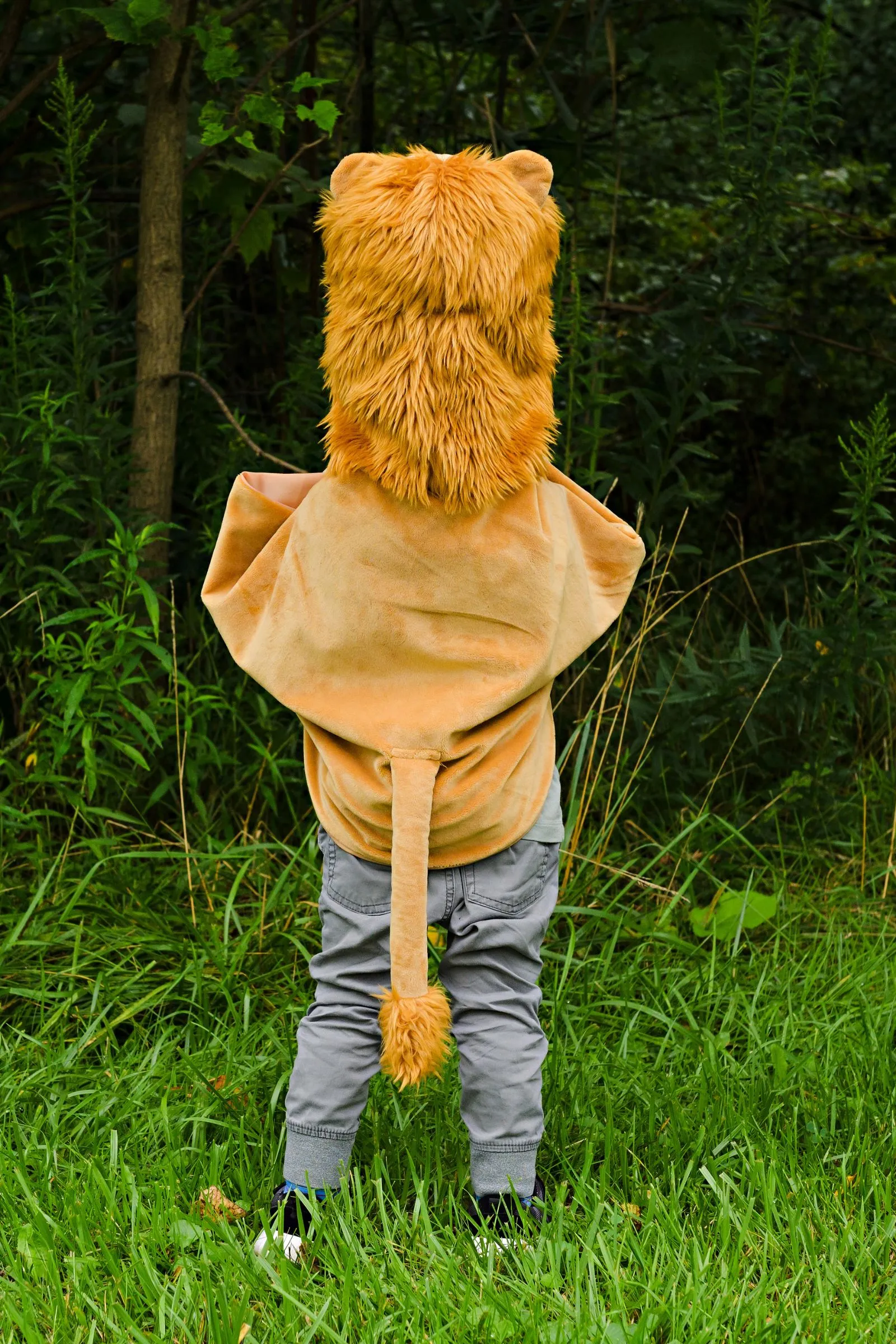 Storybook Lion Cape