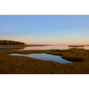 Tidal Pool, Dusk